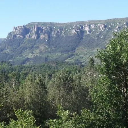 L'oursiere